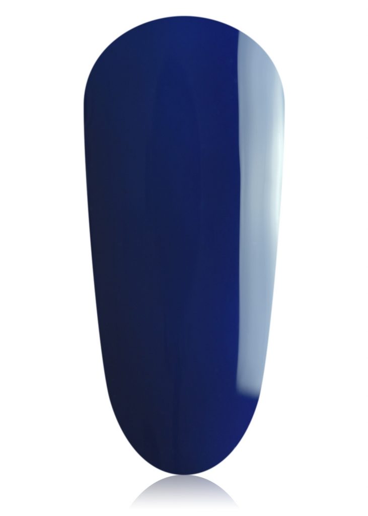 Blueberry | The GelBottle
