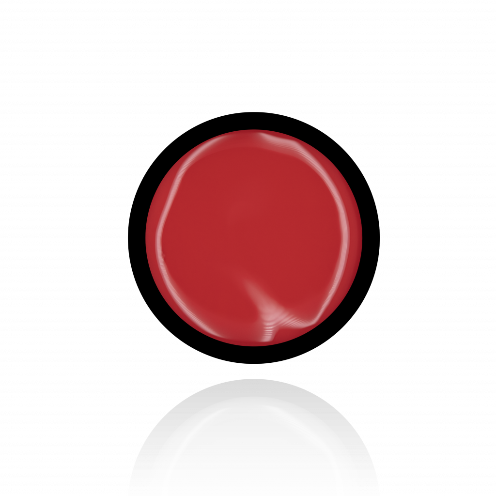 Anole-rubber-corrector-31