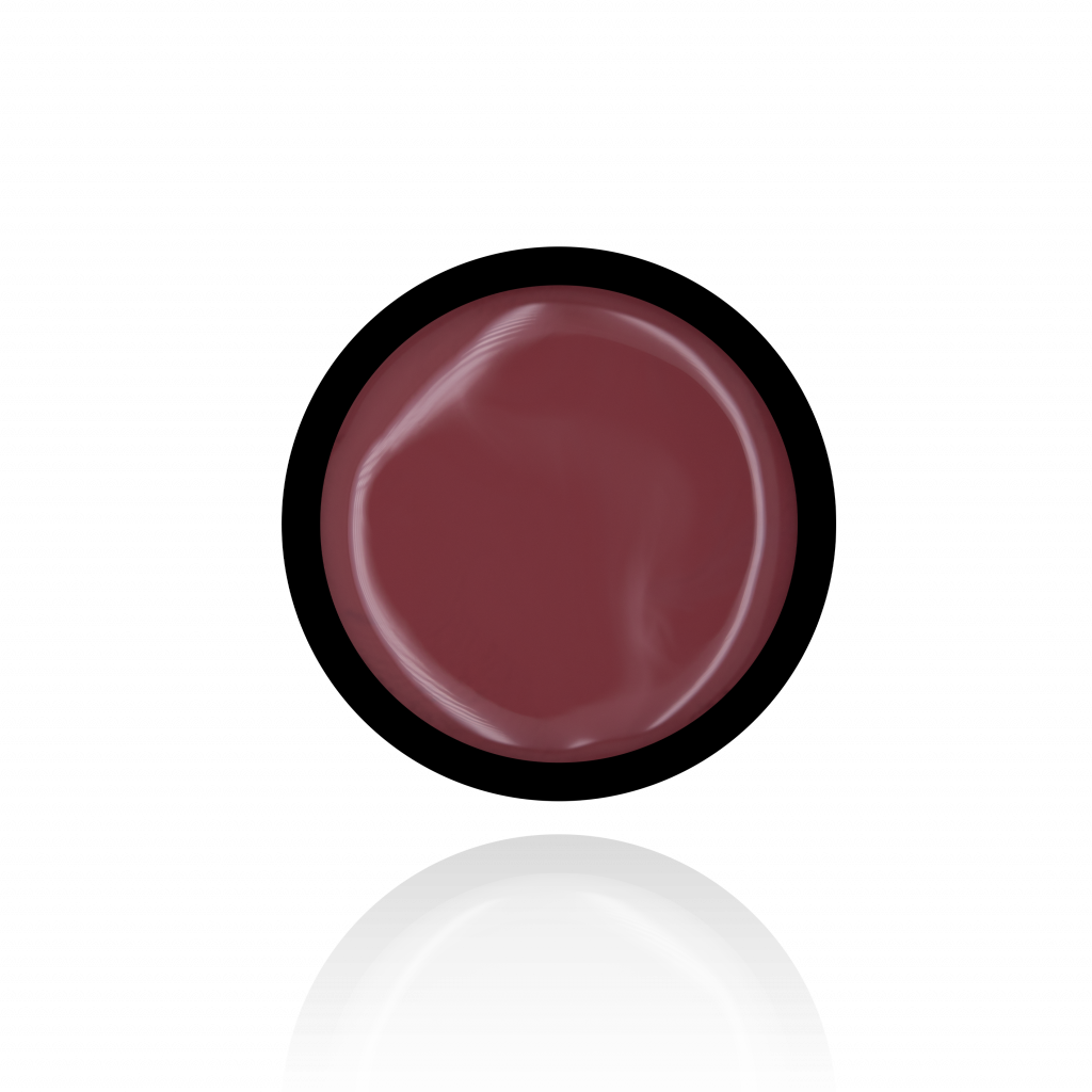 Anole-rubber-corrector-39