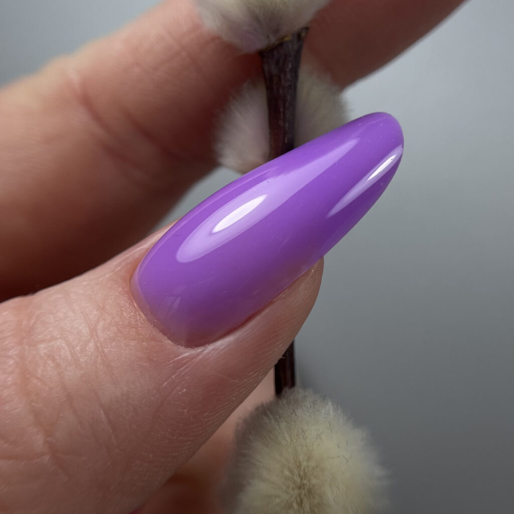 BG59-Purple-Cactus-Flower