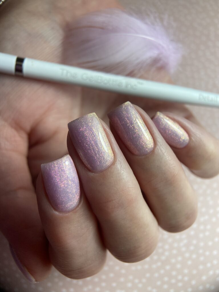 biab-wedstrijd-training